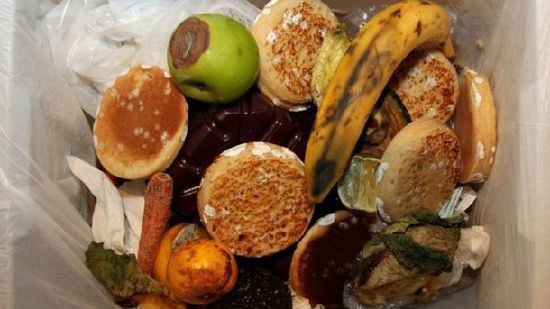 研究全球13食物被浪费严重危害环境